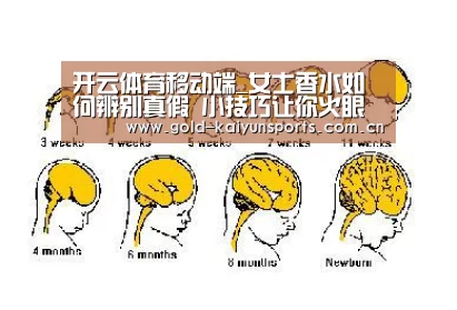开云体育移动端_女士香水如何辨别真假 小技巧让你火眼金睛辨别真假(图1) 开云登录
